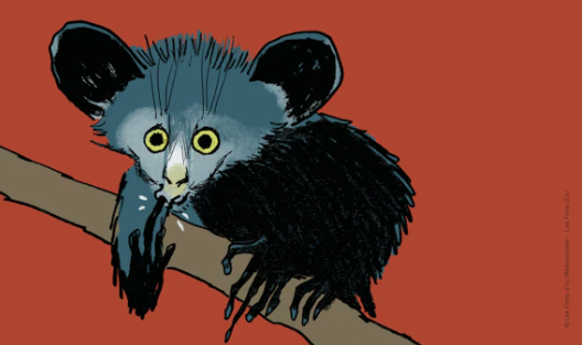 "Animals in a nutshell" (La science toutes bêtes) de Nathaniel Herzberg et Aurel  ©Les Films d'Ici Méditerranée