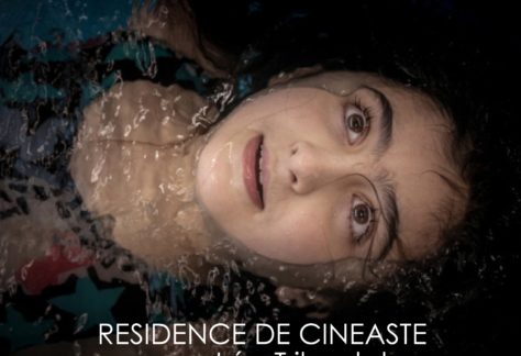 affiche_residence_Triboulet