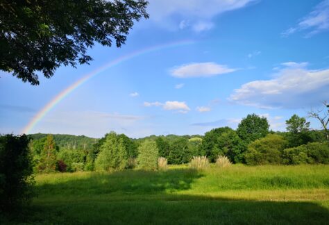 champ arc en ciel