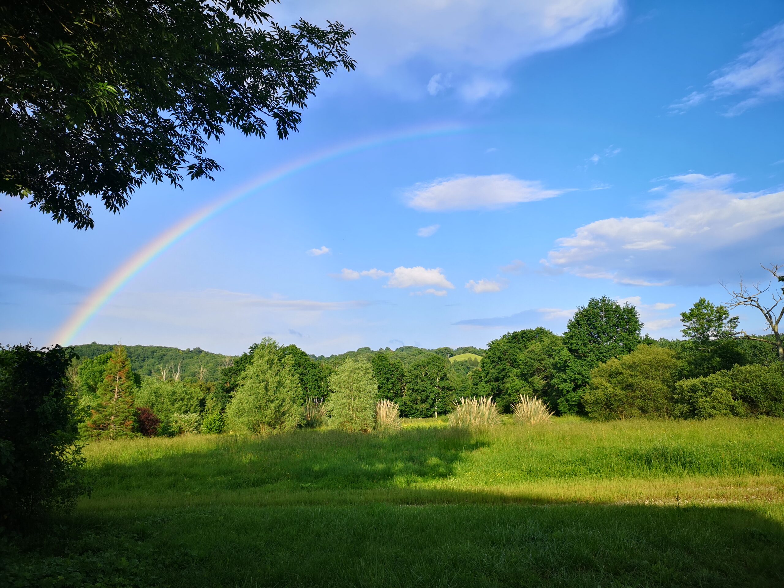 champ arc en ciel