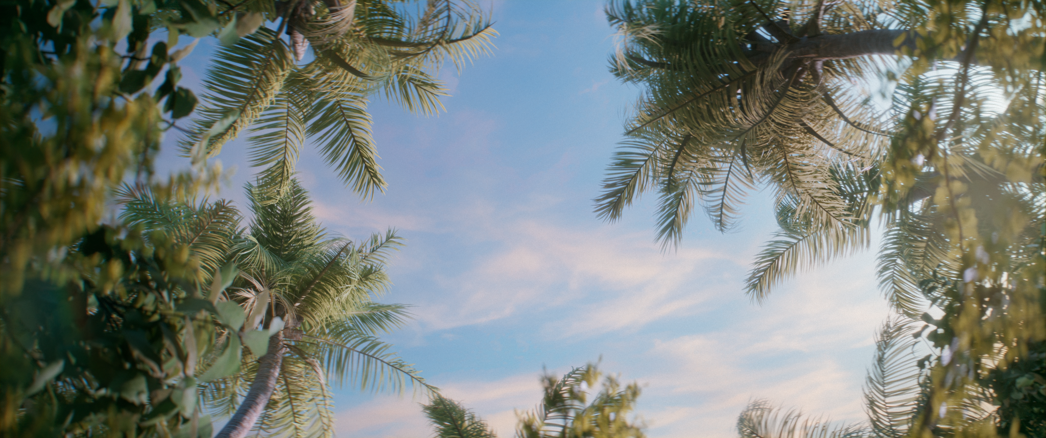 DAWN – Yu Fang Chang, Matthieu Dejoux, Maxime Forestier, Lucas Jonckheere, Noah Mercier, Marie Pradeilles, Apolline Royer & Lorys Stora – ESMA – 2024