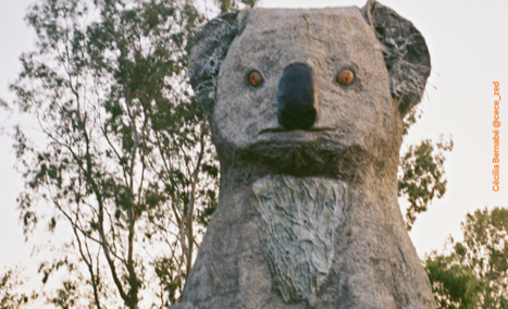 Capture d’écran 2025-11-20 à 13.36.40