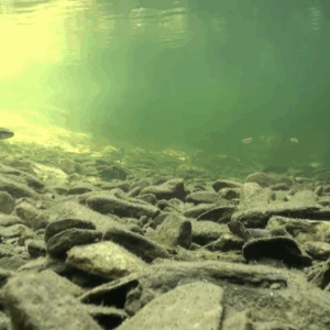 Capture d’écran 2025-12-15 à 12.18.29