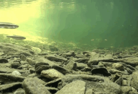 Capture d’écran 2025-12-15 à 12.18.29 Capture d’écran 2025-12-15 à 12.18.29