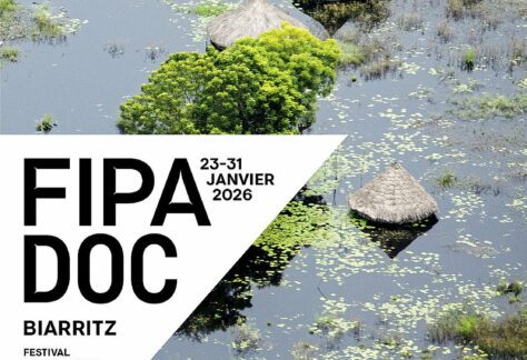 csm_2026-fipadoc-affiche-120×160-_80b69707ad