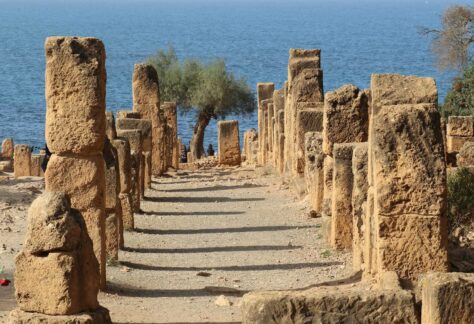 Tipasa, Algérie – La terre est un jardin