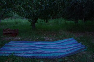 la_nuit_des_pommes_©elyssa_smiri