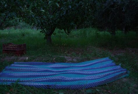 la_nuit_des_pommes_©elyssa_smiri