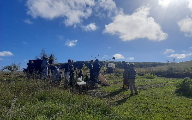 Champs Céleste- ©Takami