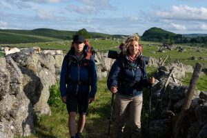 COMPOSTELLE 1